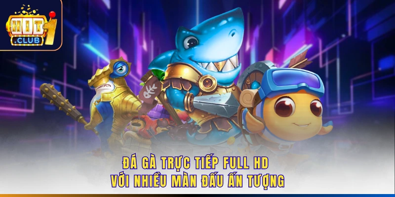 Đá gà trực tiếp full HD với nhiều màn đấu ấn tượng